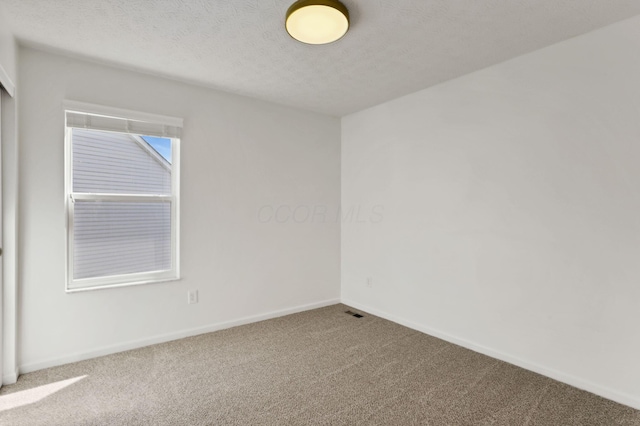 3907 Winding Path Dr, Canal Winchester, OH 43110 - spare room featuring carpet floors, a textured ceiling, and baseboards