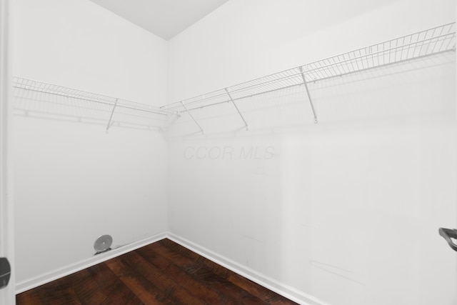 9032 Polaris Lakes Dr, Columbus, OH 43240 - walk in closet with dark wood-type flooring