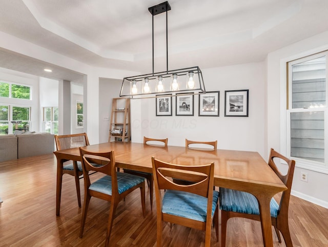 1249 Sea Shell Dr, Westerville, OH 43082 - dining area featuring a tray ceiling and light wood-type flooring