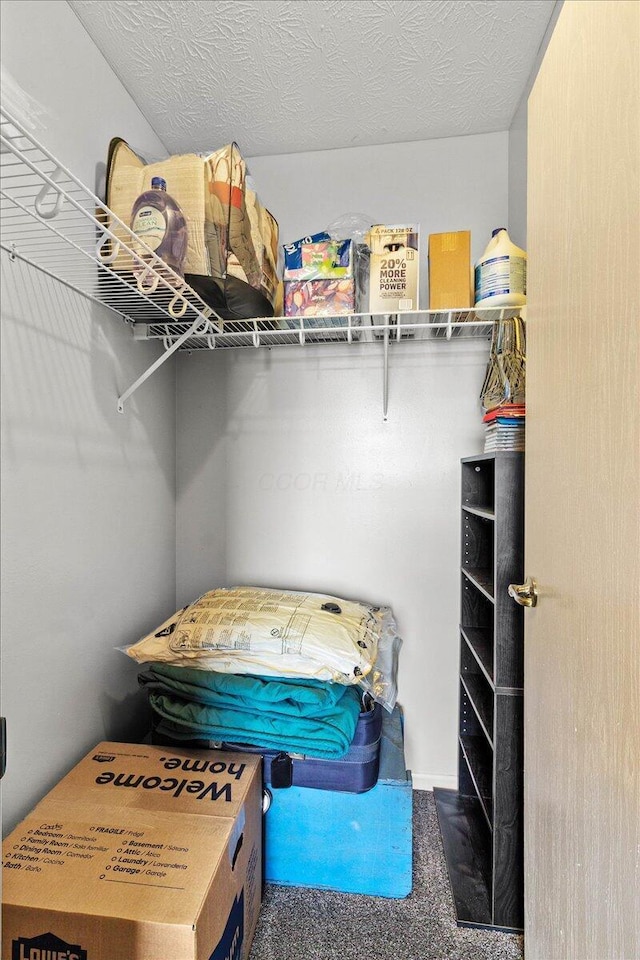 10746 State Route 287, Zanesfield, OH 43360 - spacious closet featuring carpet floors