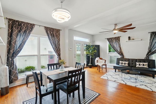 1077 Michigan Ave Unit 9, Columbus, OH 43201 - dining space with light wood-type flooring, ceiling fan, and a chandelier