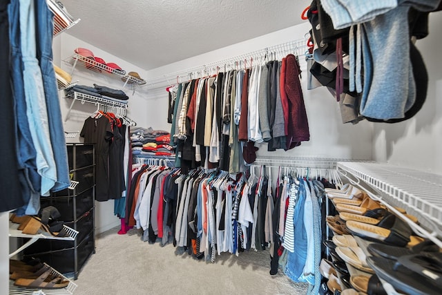 7257 Scioto Pkwy, Powell, OH 43065 - spacious closet with carpet floors