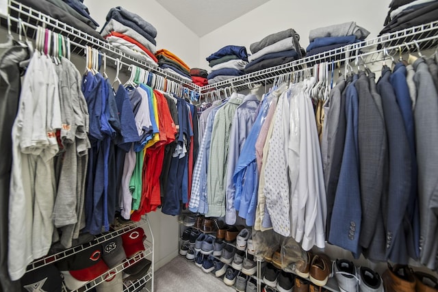 7257 Scioto Pkwy, Powell, OH 43065 - spacious closet with carpet and lofted ceiling