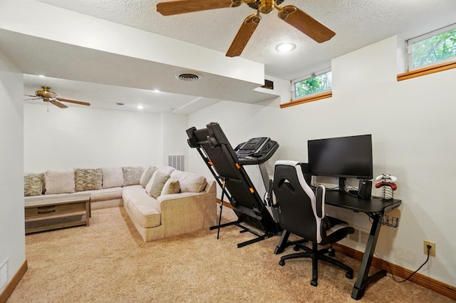 1407 Valley Dr, Marysville, OH 43040 - office featuring light carpet, ceiling fan, plenty of natural light, and a textured ceiling