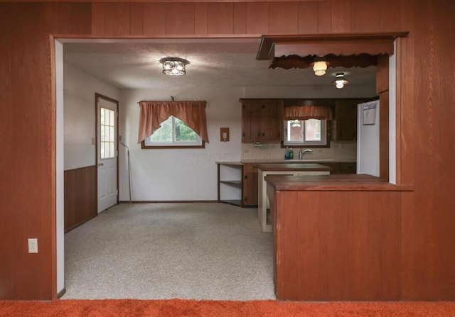 1294 Kings Corners Rd E, Mansfield, OH 44904 - kitchen featuring light carpet, a sink, and baseboards