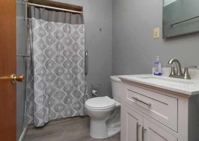 1294 Kings Corners Rd E, Mansfield, OH 44904 - full bath with wood finished floors, toilet, vanity, and a shower with curtain