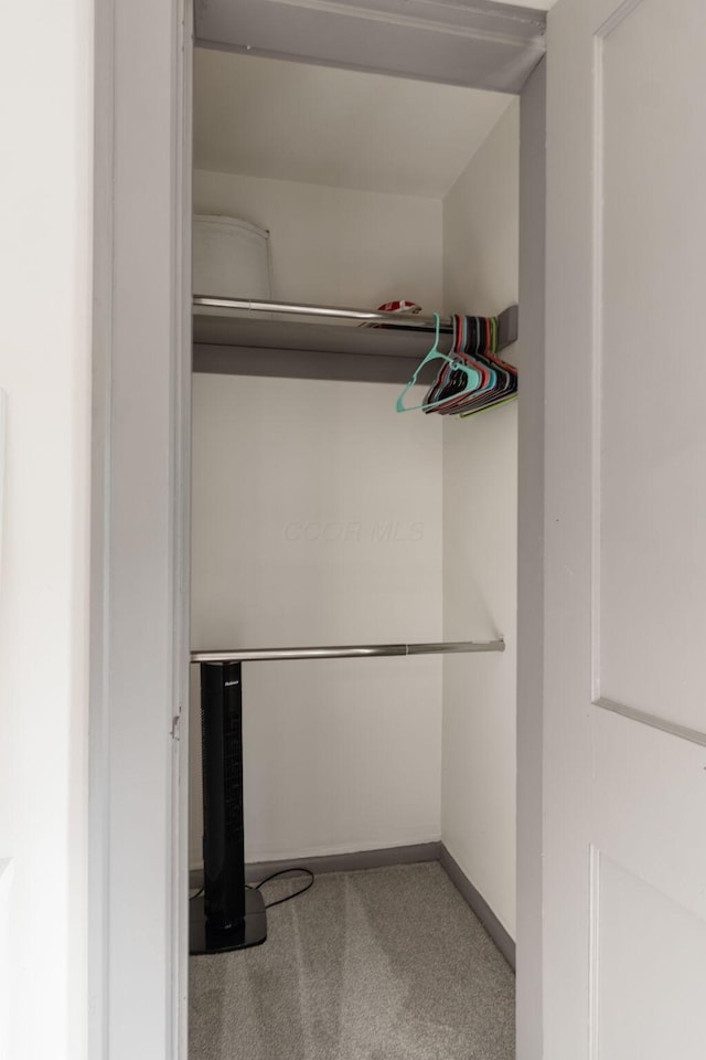 view of closet