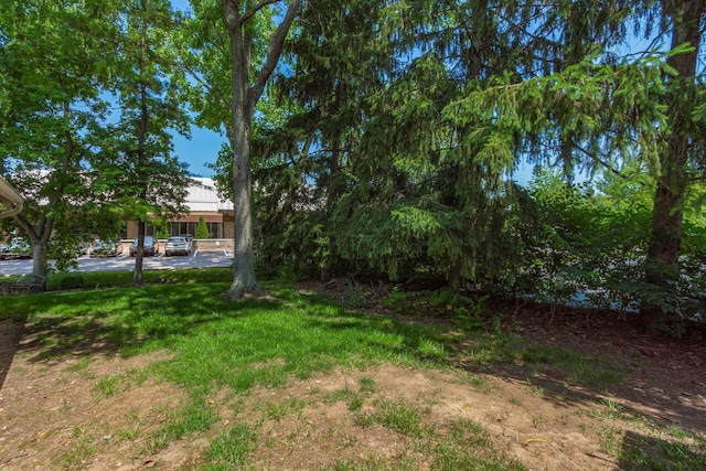 99 Corbins Mill Dr, Dublin, OH 43017 - photo 34