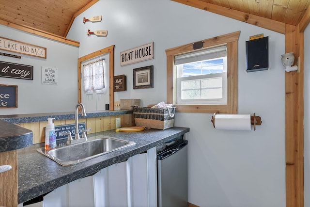 0 Canoe Ln, Thornville, OH 43076 - kitchen featuring lofted ceiling, wooden ceiling, a sink, and dark countertops