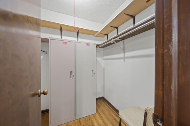 6329 Birkewood St, Columbus, OH 43229 - walk in closet featuring light wood-style flooring