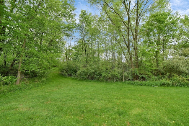6301 Columbus Rd, Centerburg, OH 43011 - view of grassy yard