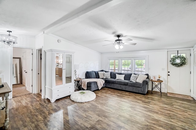 6125 Stafford Rd, Washington Court House, OH 43160 - living area featuring wood finished floors, a ceiling fan, and a chandelier
