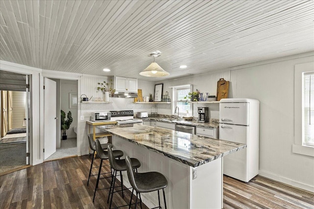 11526 Horseshoe Channel Dr, Lakeview, OH 43331 - kitchen with freestanding refrigerator, electric range oven, open shelves, stainless steel dishwasher, and under cabinet range hood