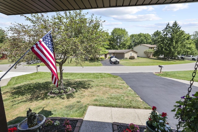 view of grassy yard featuring asphalt driveway