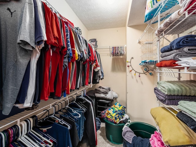 299 Stonhope Dr, Delaware, OH 43015 - walk in closet with carpet flooring