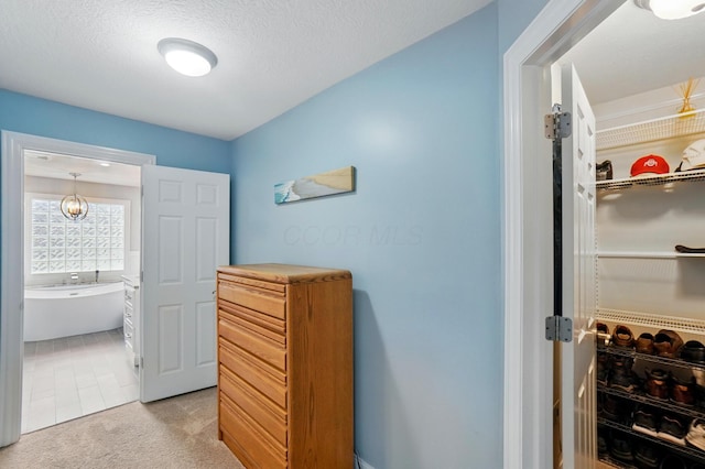 6467 Spring Run Dr, Westerville, OH 43082 - corridor with light carpet
