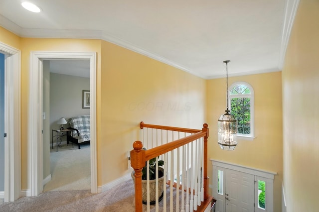 6467 Spring Run Dr, Westerville, OH 43082 - corridor with carpet flooring, an upstairs landing, ornamental molding, and baseboards