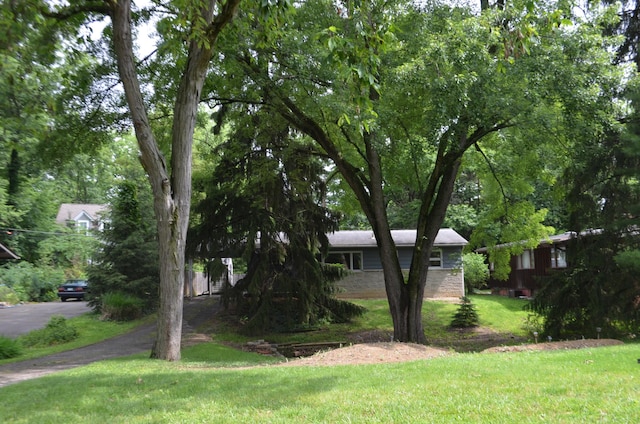 494 Park Overlook Dr, Worthington, OH 43085 - view of green lawn
