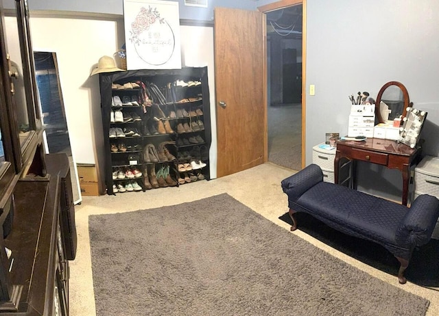 living area with carpet floors