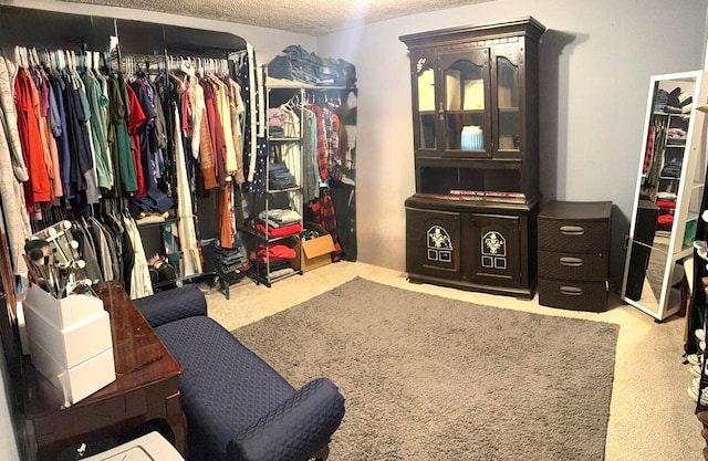walk in closet with carpet floors