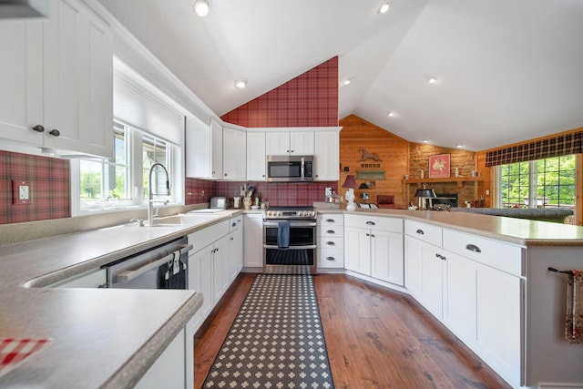 7326 State Route 19 Unit 3, Lots 1-2, Mount Gilead, OH 43338 - kitchen with stainless steel appliances, a sink, vaulted ceiling, a peninsula, and wood walls