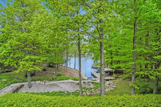 7326 State Route 19 Unit 3, Lots 1-2, Mount Gilead, OH 43338 - water view with a floating dock