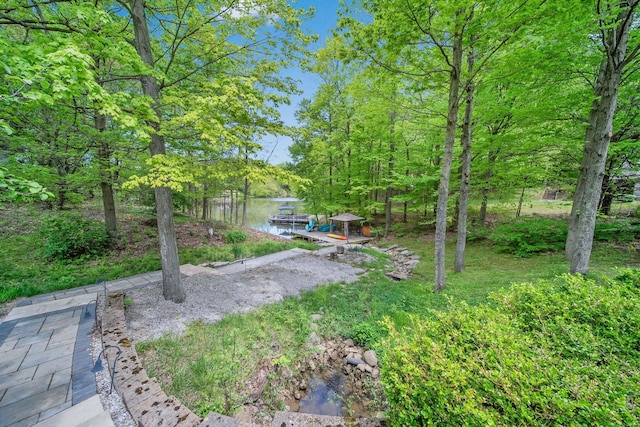 7326 State Route 19 Unit 3, Lots 1-2, Mount Gilead, OH 43338 - view of yard featuring a boat dock