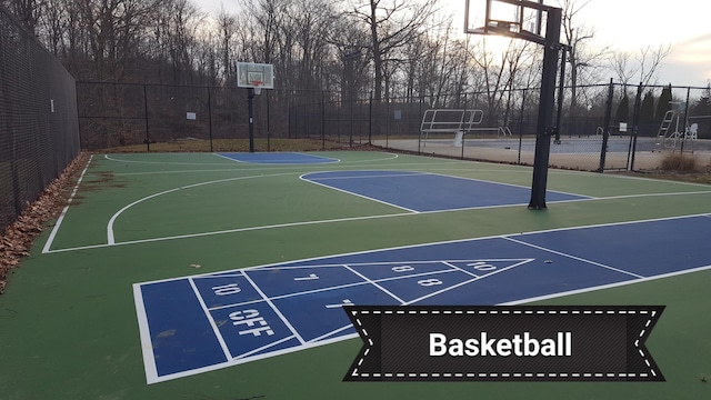 7326 State Route 19 Unit 3, Lots 1-2, Mount Gilead, OH 43338 - view of basketball court with community basketball court and fence