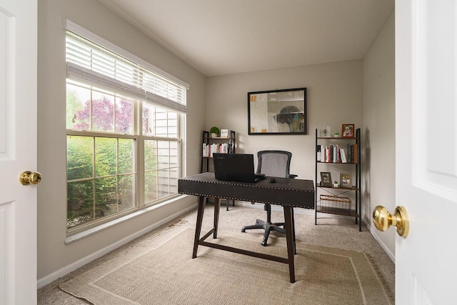 carpeted home office with baseboards