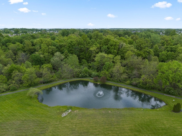 6755 Arbor View Ct, Powell, OH 43065 - aerial view of property and surrounding area featuring a large body of water and a forest