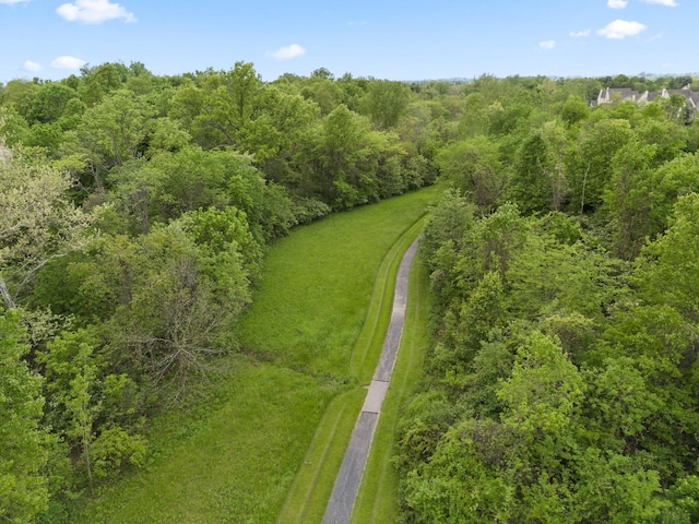 6755 Arbor View Ct, Powell, OH 43065 - bird's eye view of a forest