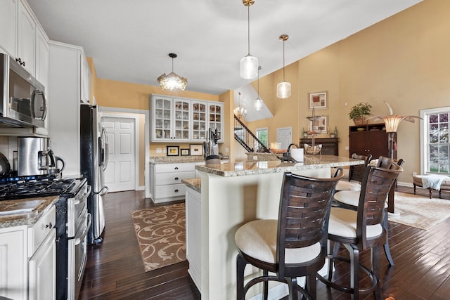 6755 Arbor View Ct, Powell, OH 43065 - kitchen with stainless steel appliances, a kitchen breakfast bar, dark wood-style floors, glass insert cabinets, and baseboards