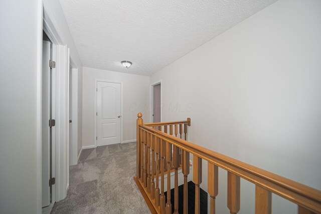 1019 Wallace Dr, Delaware, OH 43015 - corridor with an upstairs landing, carpet floors, baseboards, and a textured ceiling