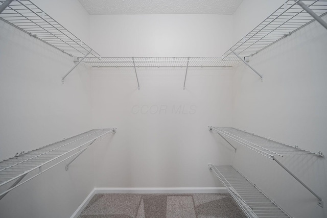 1019 Wallace Dr, Delaware, OH 43015 - walk in closet featuring carpet