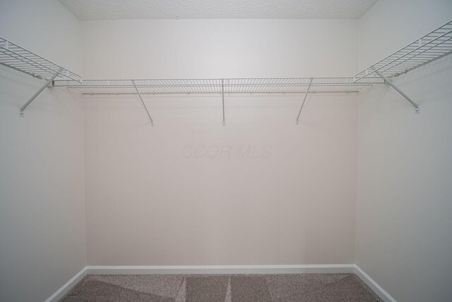 1019 Wallace Dr, Delaware, OH 43015 - walk in closet with carpet