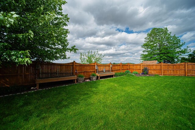 1019 Wallace Dr, Delaware, OH 43015 - view of yard