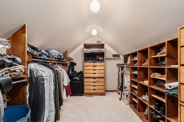 5754 N Loch Maree Ct N, Dublin, OH 43017 - spacious closet with light colored carpet and lofted ceiling