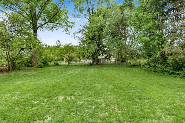 view of green lawn