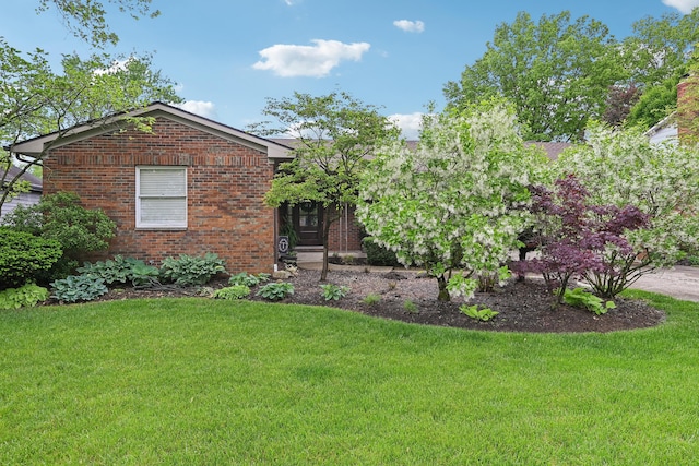 499 Wickham Way, Columbus, OH 43230 - view of front of home with a front yard and brick siding