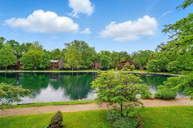 344 Lakeside Dr, Westerville, OH 43081 - photo 57