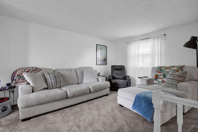 5756 Saffron Ave, Galloway, OH 43119 - living room featuring carpet floors and a textured ceiling