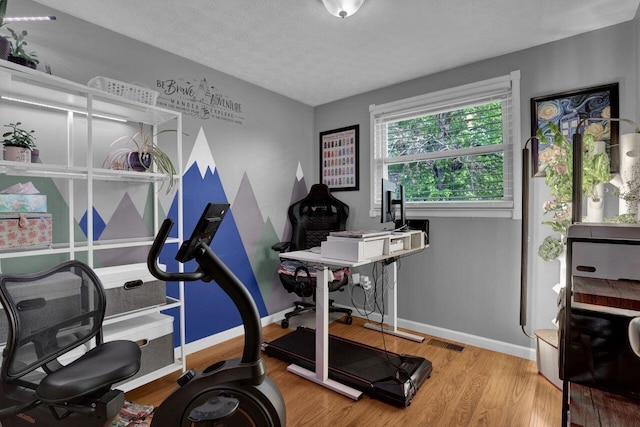 5756 Saffron Ave, Galloway, OH 43119 - workout room with wood finished floors, a textured ceiling, and baseboards