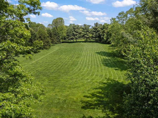 5657 Freeman Rd, Westerville, OH 43082 - view of grassy yard