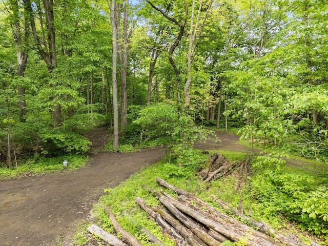 429 N Old State Rd, Delaware, OH 43015 - view of street featuring a wooded view