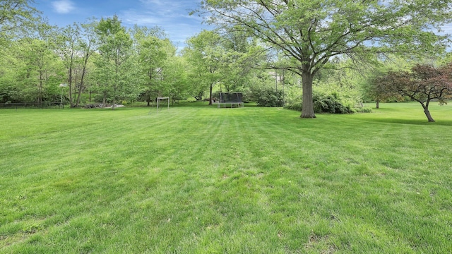 11600 Windridge Dr NW, Pickerington, OH 43147 - view of green lawn with a trampoline