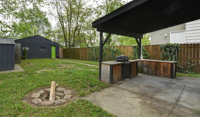 view of yard with a patio area, a shed, and an outdoor structure