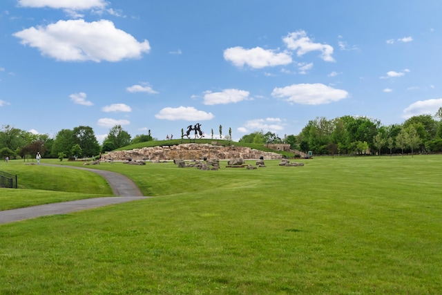 6289 Corley Dr, Dublin, OH 43016 - view of property's community with a lawn