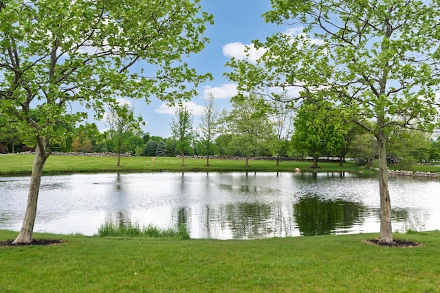 6289 Corley Dr, Dublin, OH 43016 - water view
