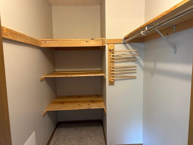 50 Stagecoach Rd, Chillicothe, OH 45601 - walk in closet with carpet floors