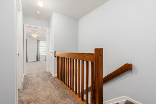 5962 Thunder Gulch Dr, New Albany, OH 43054 - hallway with carpet floors, baseboards, and an upstairs landing